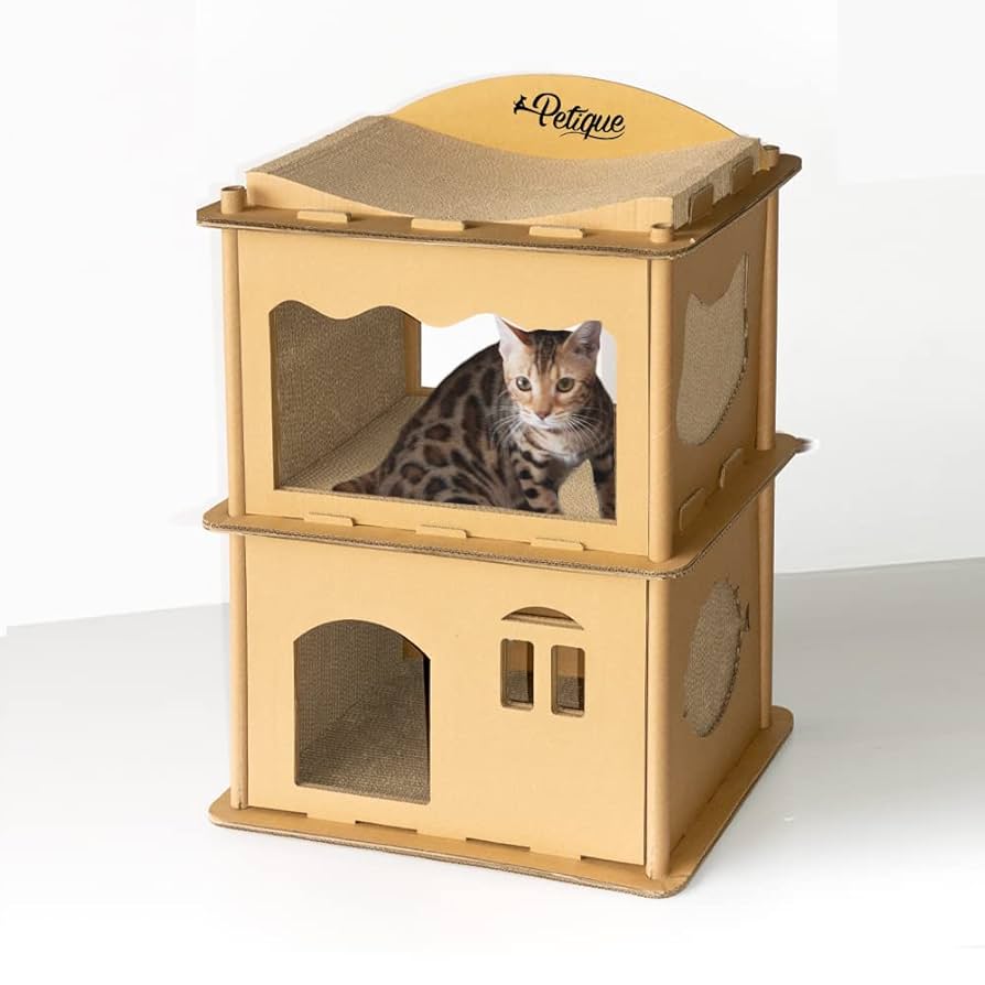 Amazon | Petique ペティーク コンドミニアム [猫 ねこ ペット
